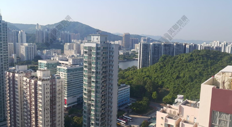 盤源圖片1