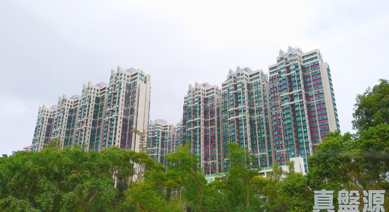 盤源圖片9