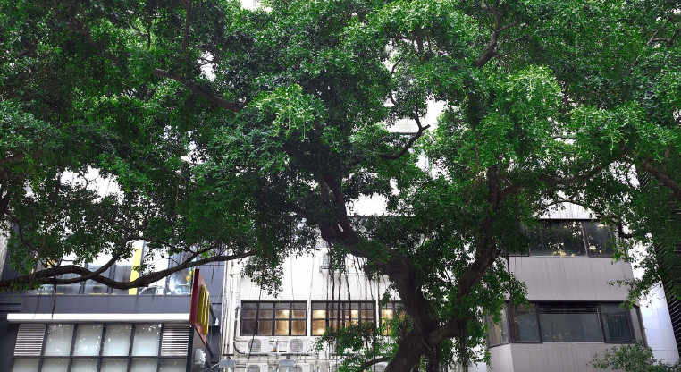 盤源圖片4