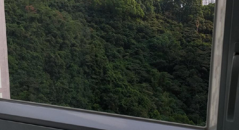 盤源圖片1