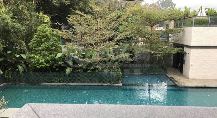 盤源圖片8