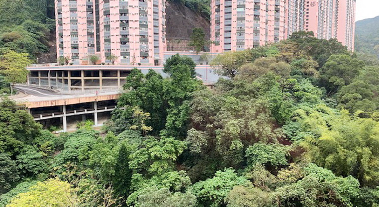 盤源圖片8