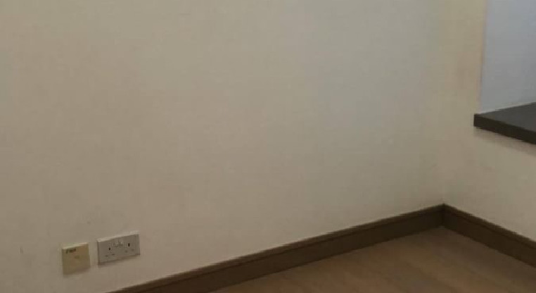 盤源圖片7