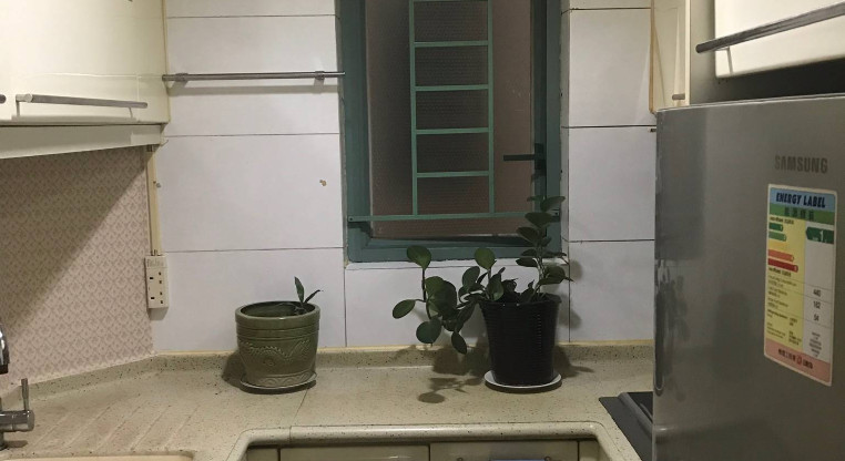 盤源圖片5