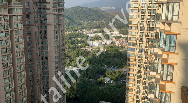 盤源圖片8