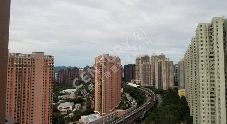 盤源圖片6