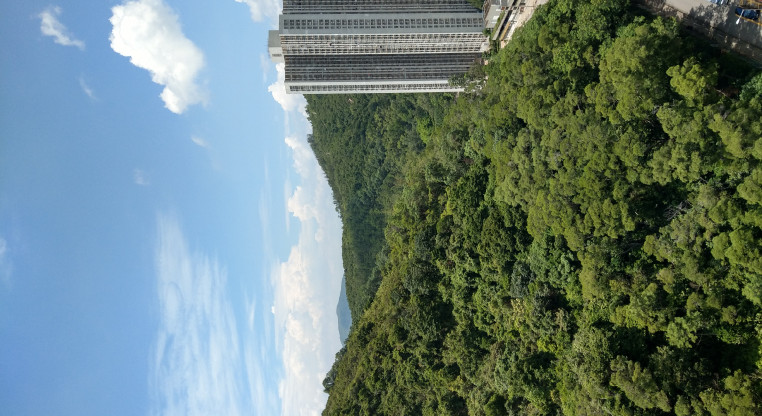 盤源圖片2