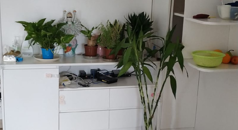 盤源圖片3