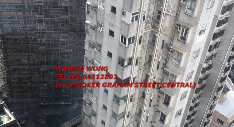 盤源圖片11