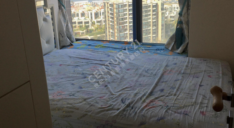 盤源圖片8