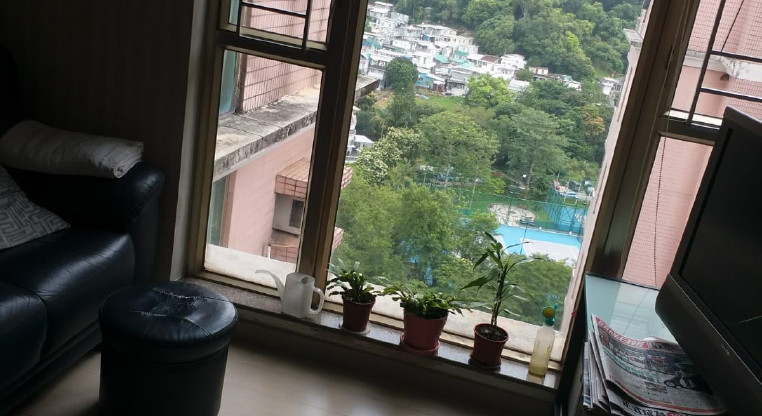 盤源圖片7