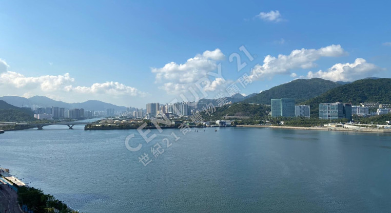 盤源圖片1
