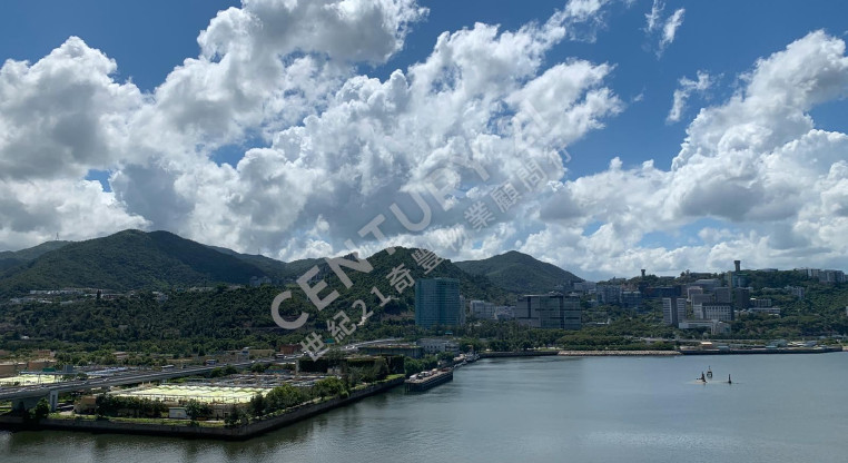 盤源圖片5