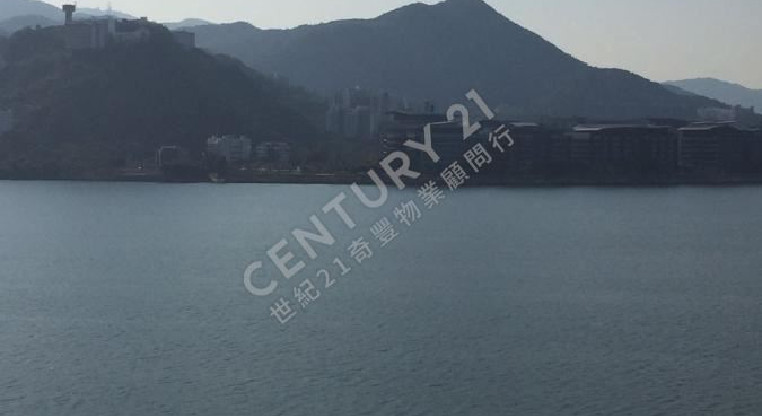 盤源圖片2