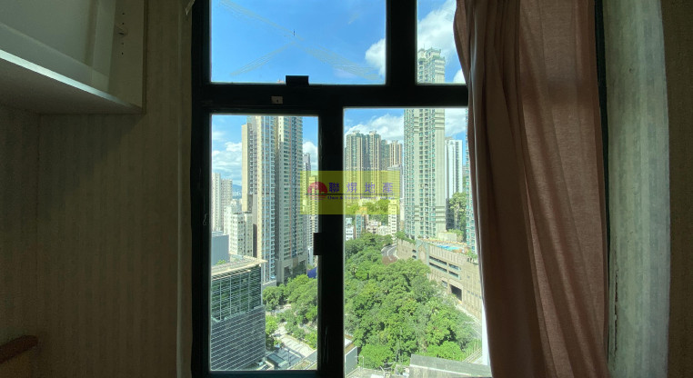 盤源圖片9
