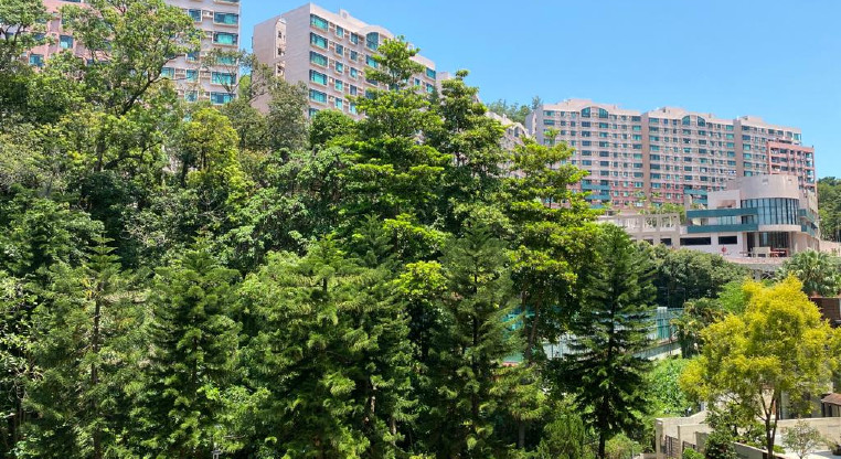 盤源圖片5