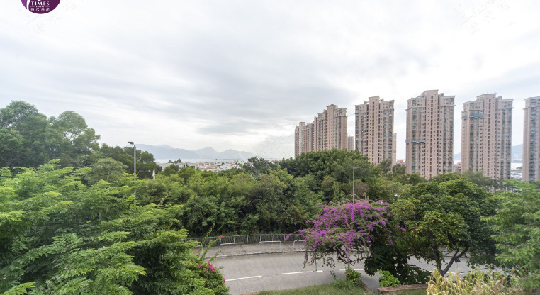 盤源圖片12