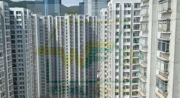 盤源圖片7