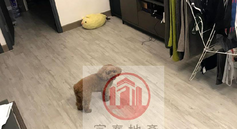 盤源圖片4