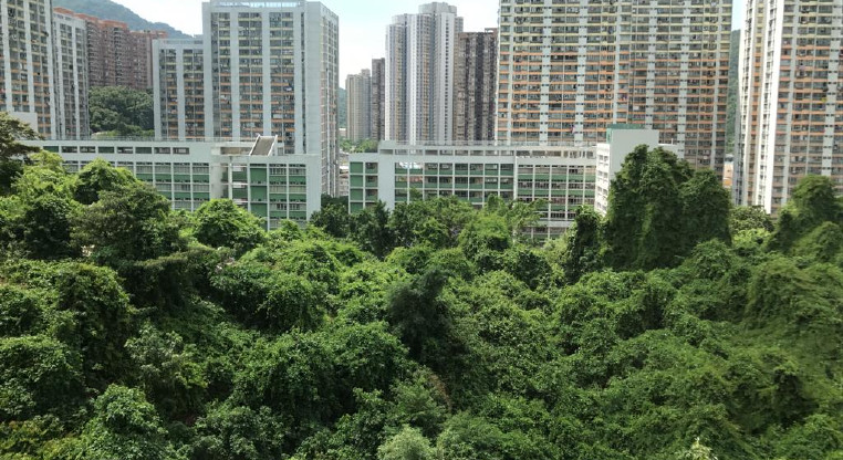 盤源圖片1