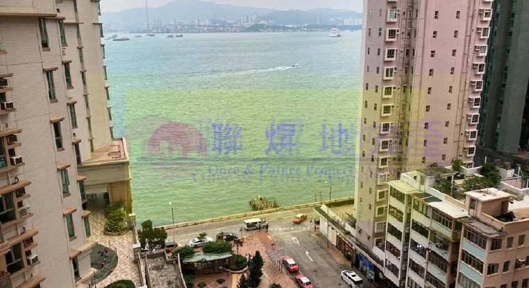 盤源圖片1