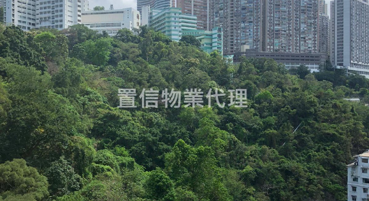 盤源圖片1