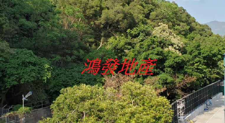 盤源圖片9