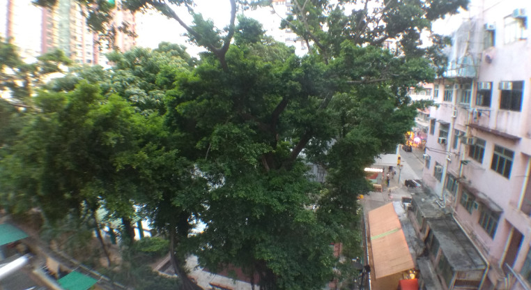 盤源圖片19
