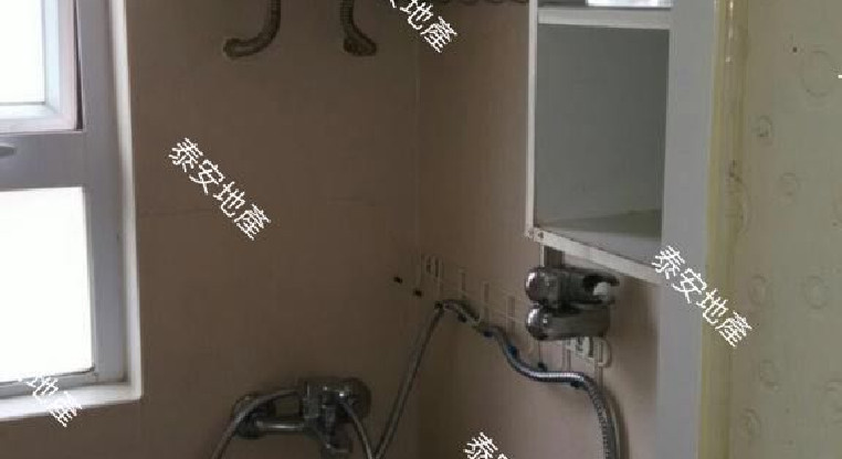 盤源圖片3