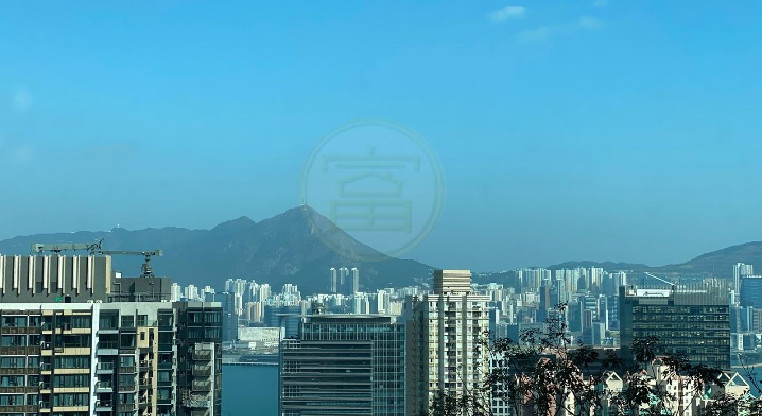 盤源圖片7