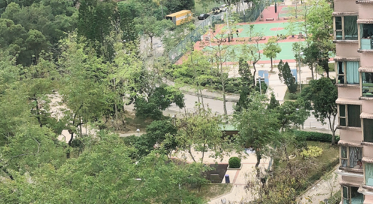 盤源圖片4