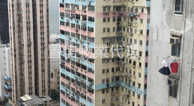 盤源圖片3
