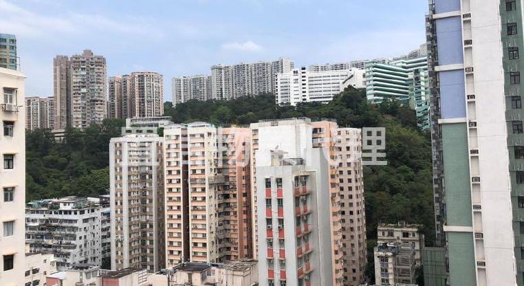 盤源圖片2