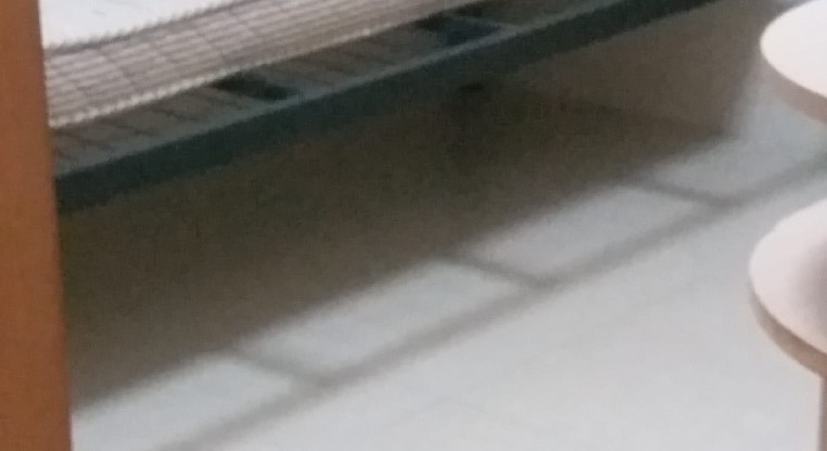盤源圖片7