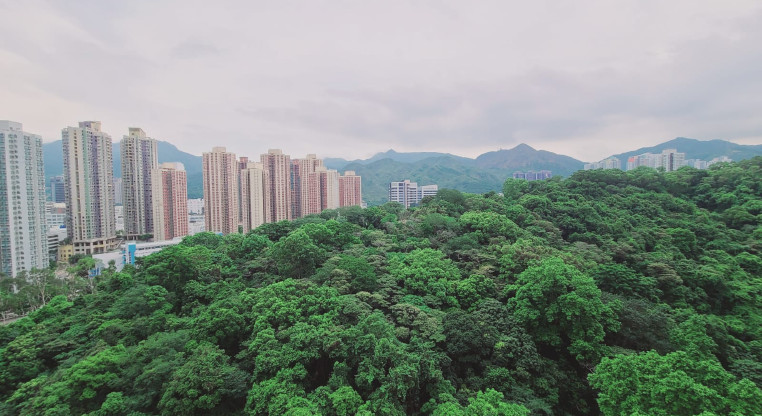 盤源圖片5