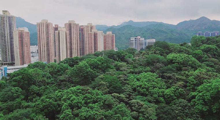 盤源圖片4