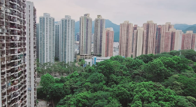 盤源圖片3