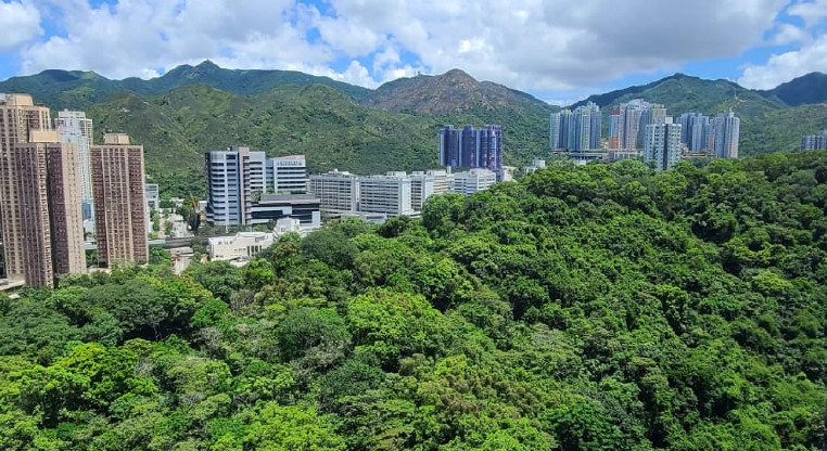 盤源圖片9