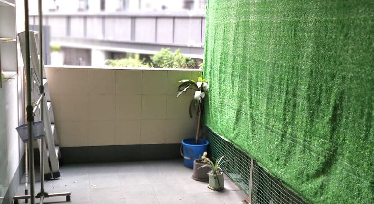 盤源圖片8