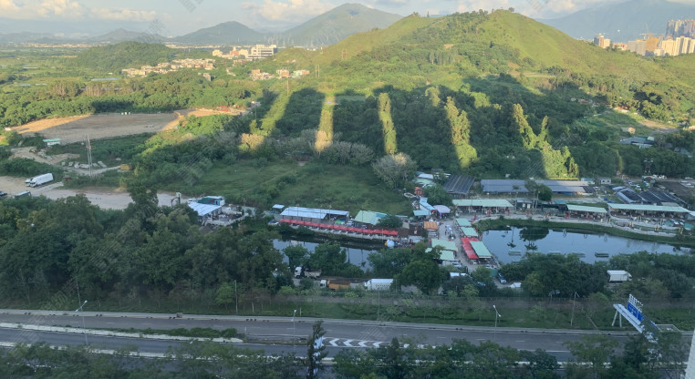 盤源圖片5