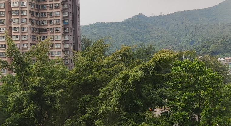 盤源圖片2