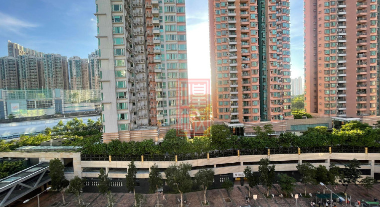 盤源圖片4