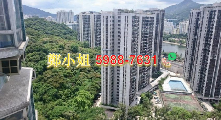 盤源圖片13