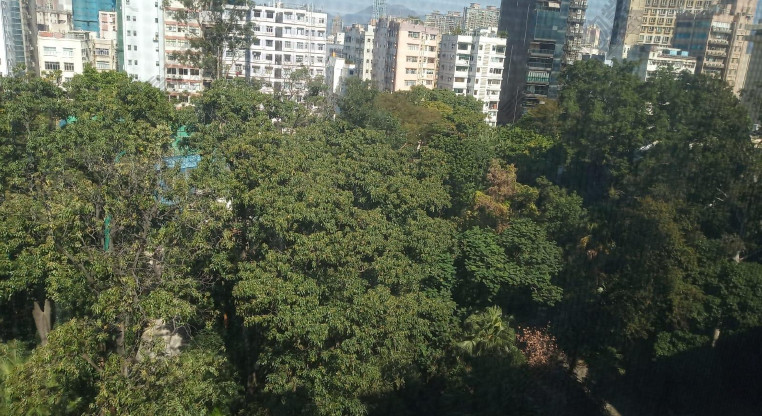 盤源圖片2