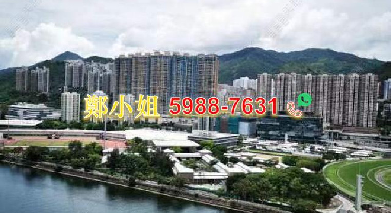 盤源圖片6