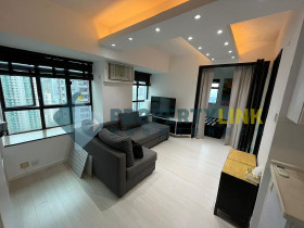 property-link agency limited的放盤