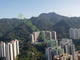 東南高層開揚山景.歡迎致電查詢