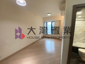 大灣置業的放盤