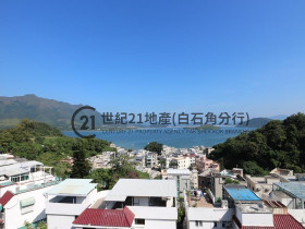 世紀21地產(白石角)有限公司的放盤