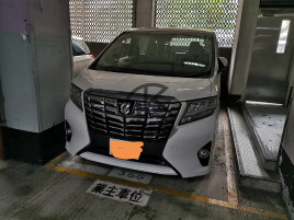 沙田中心車位 適合大車七人車